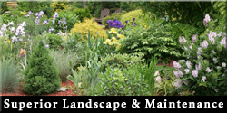 Superior Landscape & Maintenance Logo